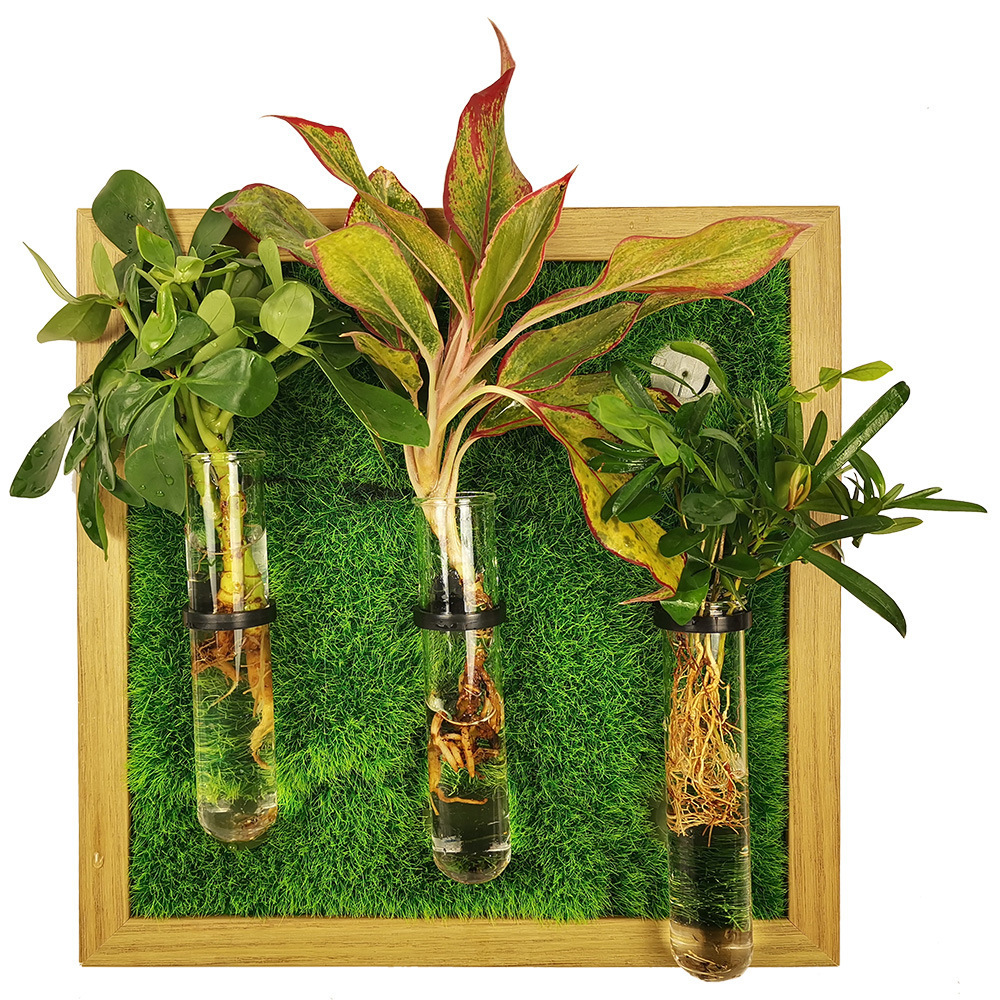 Wall hanging test tube frame planter indoor DIY wall planter for propagation and cut flowers