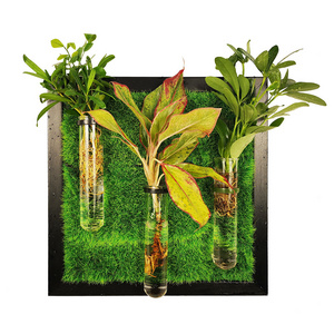 Wall hanging test tube frame planter indoor DIY wall planter for propagation and cut flowers