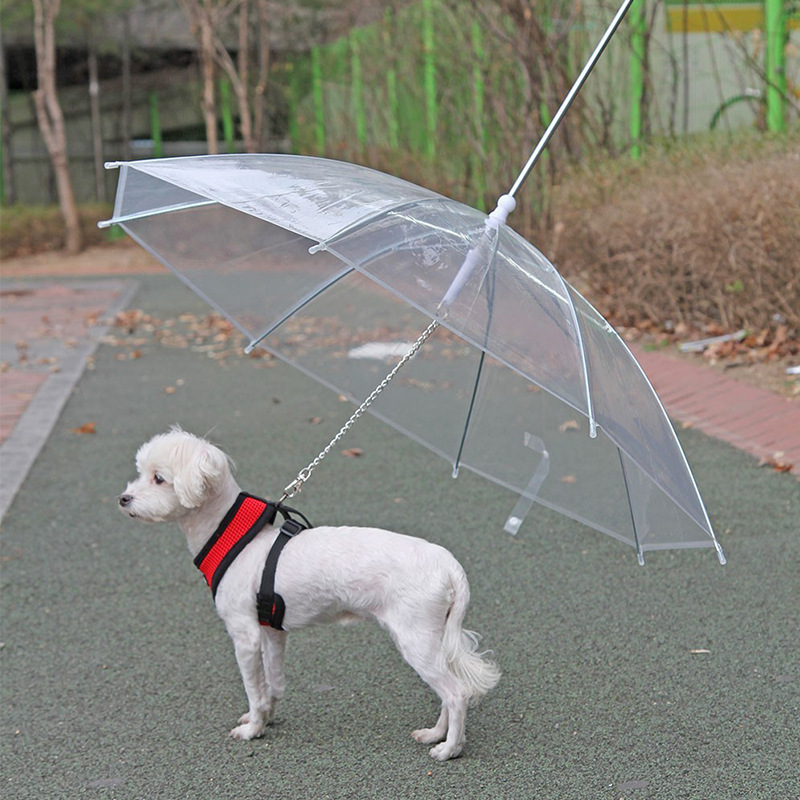 Dog Outdoor Pet Umbrellas with Chain Transparent PE Built-in Walk Leash for Puppy Rain Snow Cat Doggy Waterproof Pet Supplies