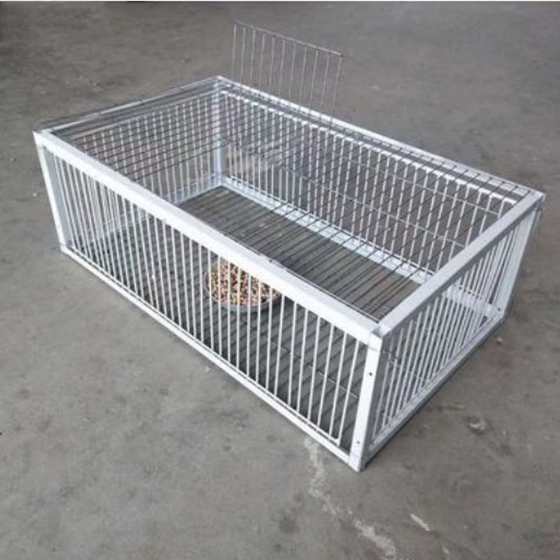 Foldable Galvanised Pigeon Bird Trap Cage Feral Pigeon humane way with the one-way entrance Trapping Pigeons doves In Cages