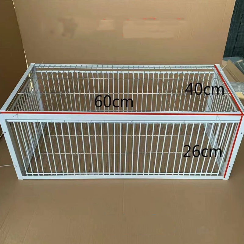 Foldable Galvanised Pigeon Bird Trap Cage Feral Pigeon humane way with the one-way entrance Trapping Pigeons doves In Cages