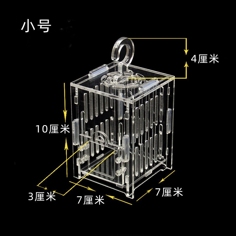 Acrylic Insect Cage House Grasshopper Cage Cricket Storage Basket Small Insect Container Animal