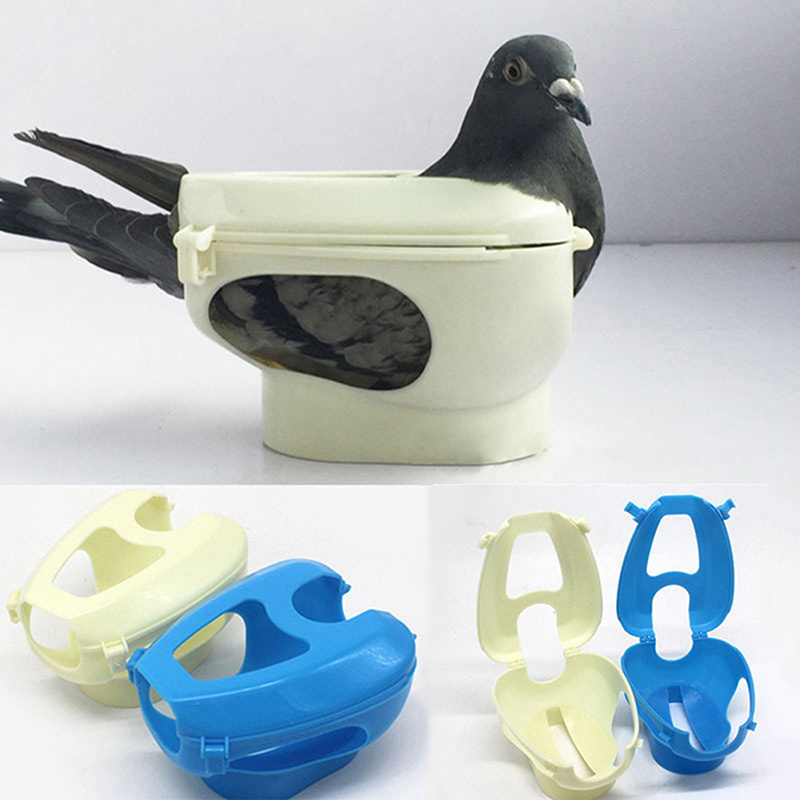 Racing Pigeon Holder For Injection Feeding Vaccination Mount Bird Supplies