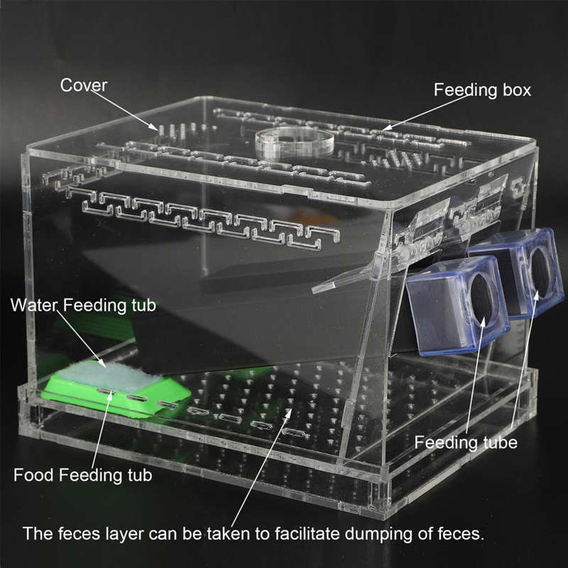 Insect Cage Cricket Feeding Box Feeding Cage with Removable Lid & Feces Layer & Tube Insect Cockroach Care Kit