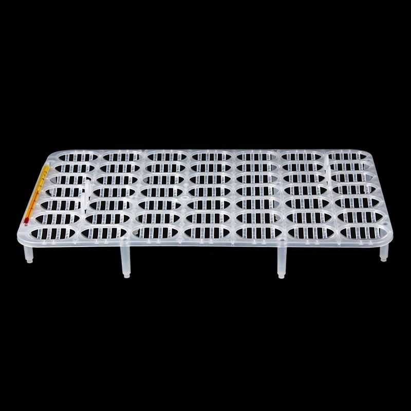 Plastic reptile hatching tray breeding egg holder for turtle eggs