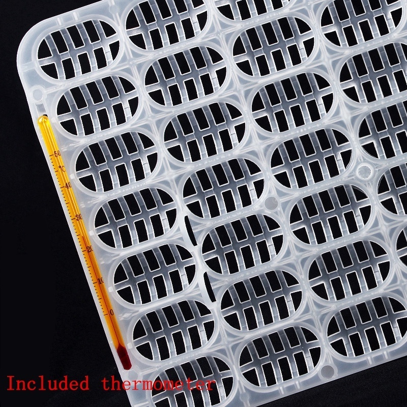 Plastic reptile hatching tray breeding egg holder for turtle eggs