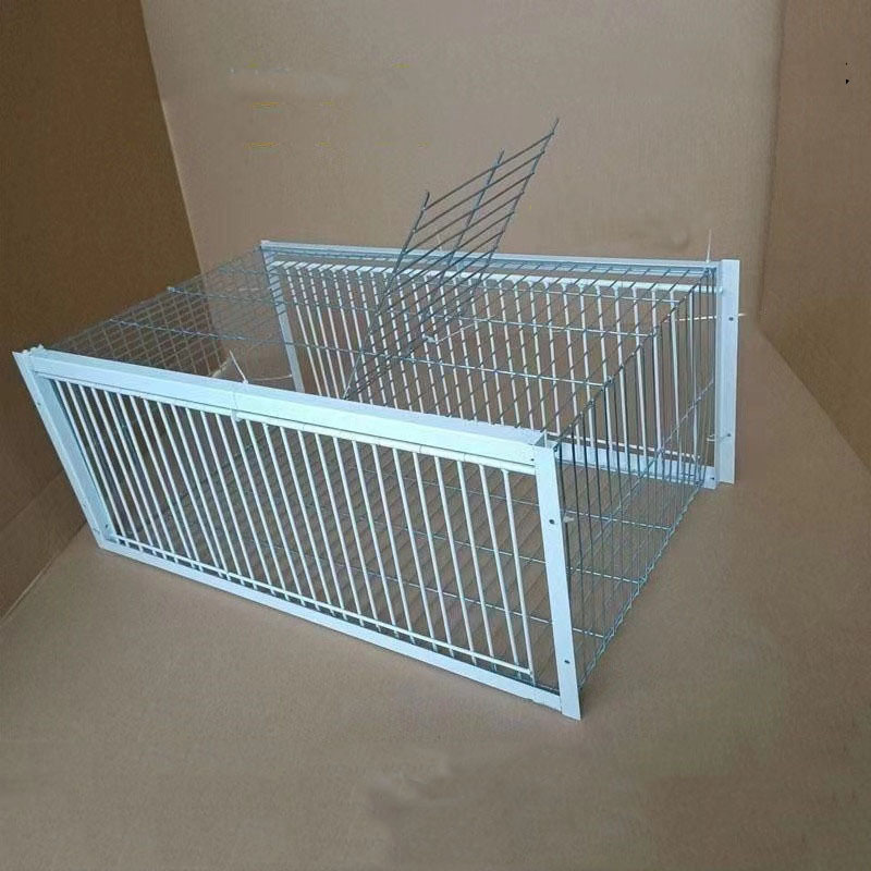 Foldable Galvanised Pigeon Bird Trap Cage Feral Pigeon humane way with the one-way entrance Trapping Pigeons doves In Cages