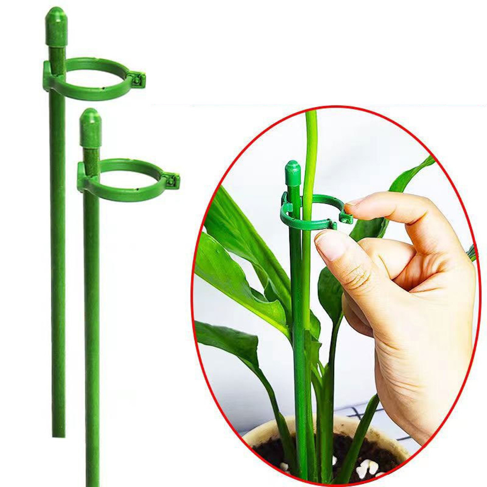 Plant Supports Stand for Succulent Butterflies Orchid Flower Holder Pole Potted Fixing Rods Leaf Protection Frame