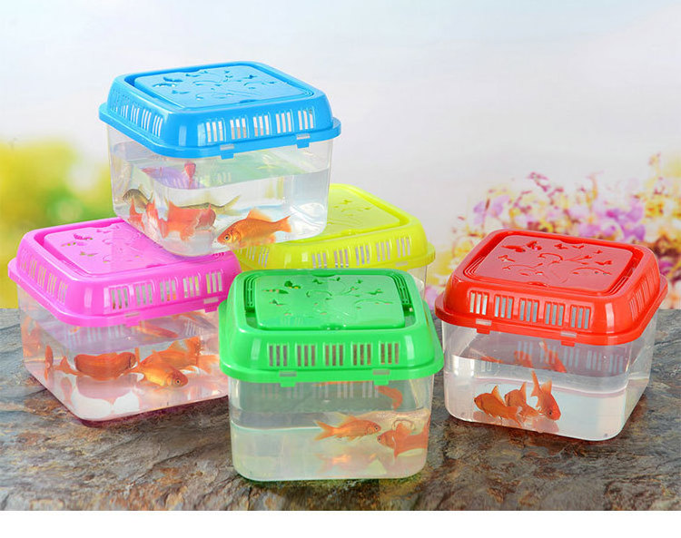 Portable Plastic Turtle Tank Eco Fish Tank Transparent Pet Feeding Box Transportation Case