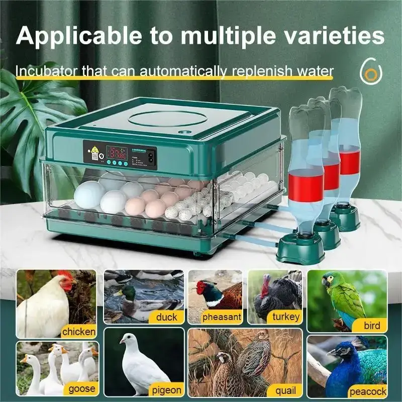 9/15 eggs EU plug Eggs Incubator With Drawer Type  Automatic Water Ionic Waterbed Replenishment And Temperature Controller