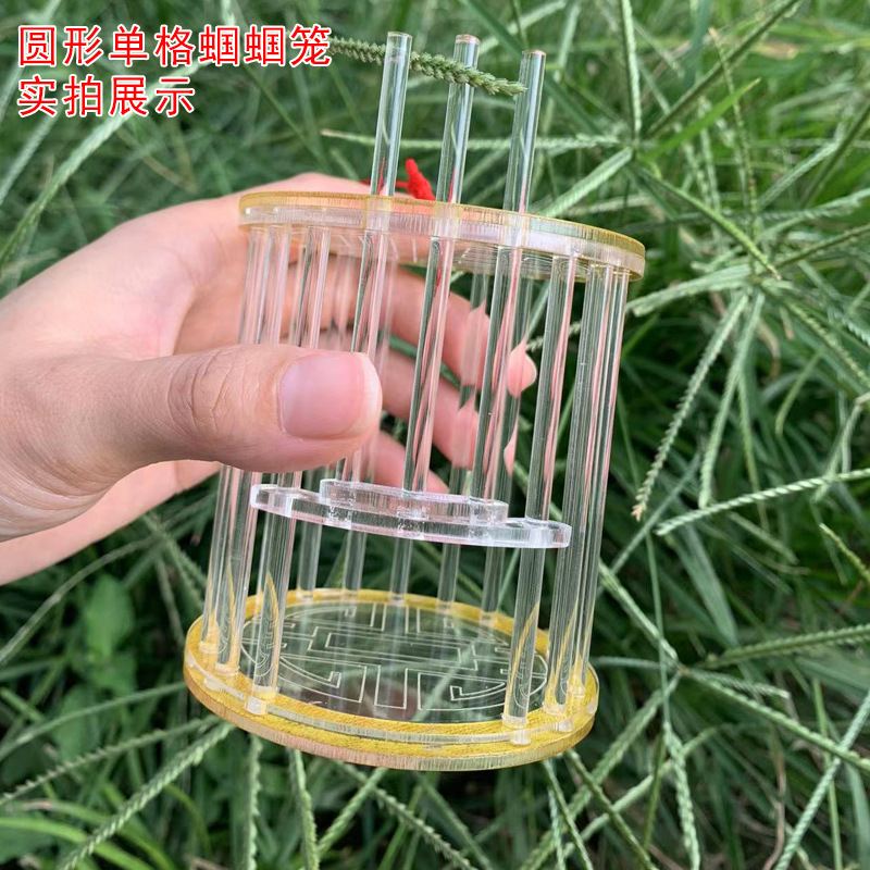 Acrylic Cricket Grasshopper Cage Reptile Insect Nest Cricket Cricket Jar Bamboo Lacewing Chirping Jar