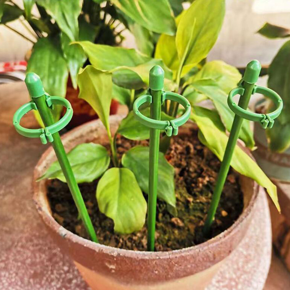 Plant Supports Stand for Succulent Butterflies Orchid Flower Holder Pole Potted Fixing Rods Leaf Protection Frame