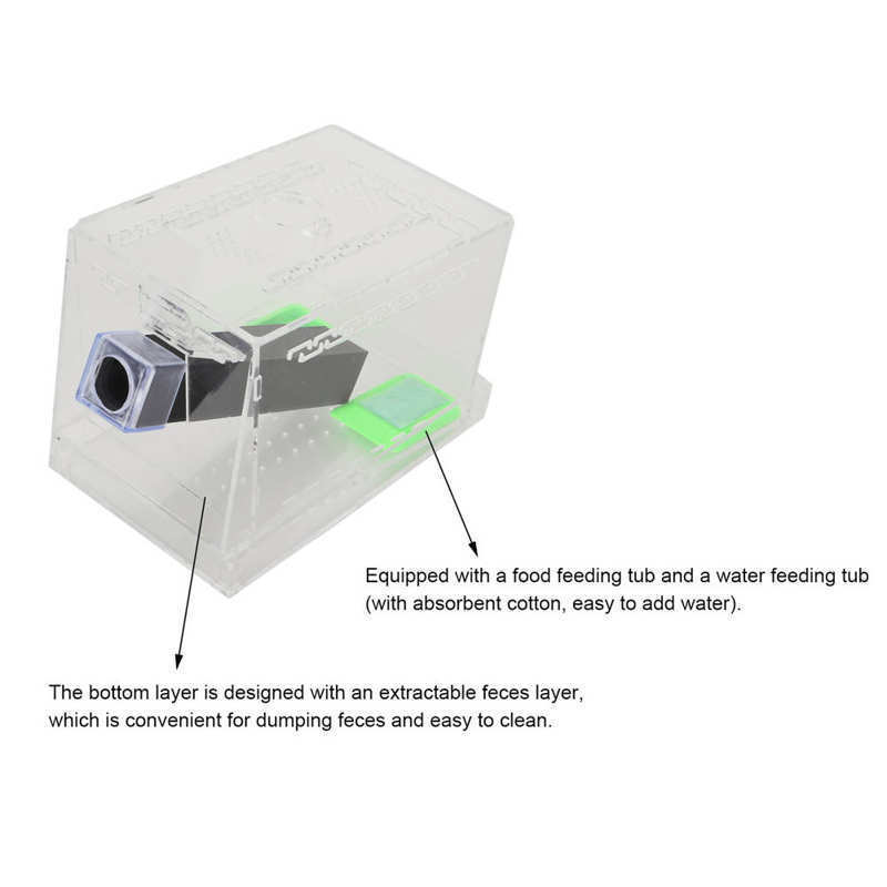 Insect Cage Cricket Feeding Box Feeding Cage with Removable Lid & Feces Layer & Tube Insect Cockroach Care Kit