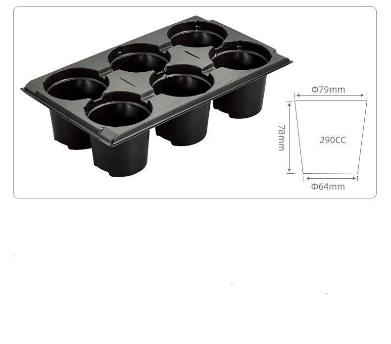 Wholesale New Design 6 Cells Gardening Seedling Tray Seed Trays Seedling Starter Grow Plastic Seedling Nursery Tray