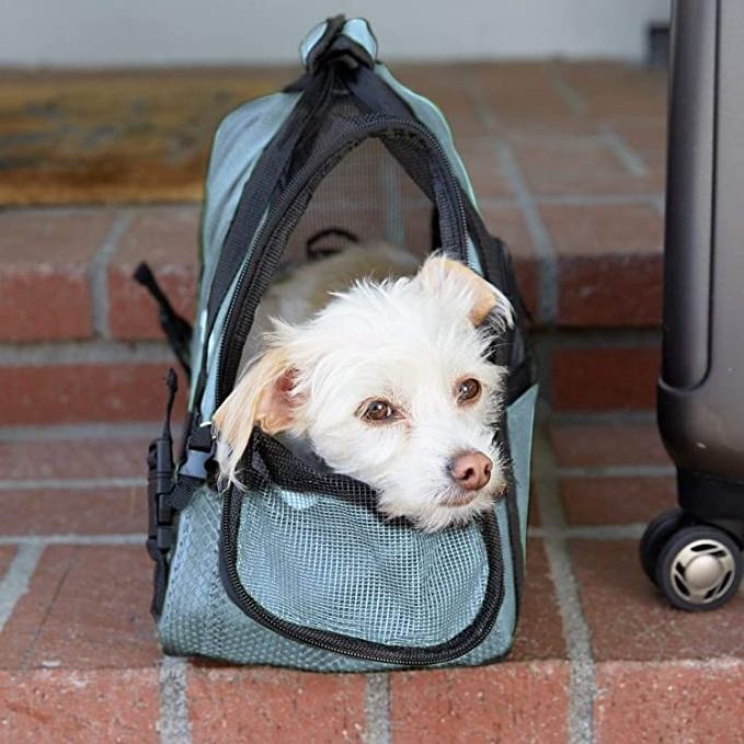 Hot Sale Airline Approved Big Capacity Dog Carrier Cat Packbag Pet Trolley Case Pet Carry Bag Carrier