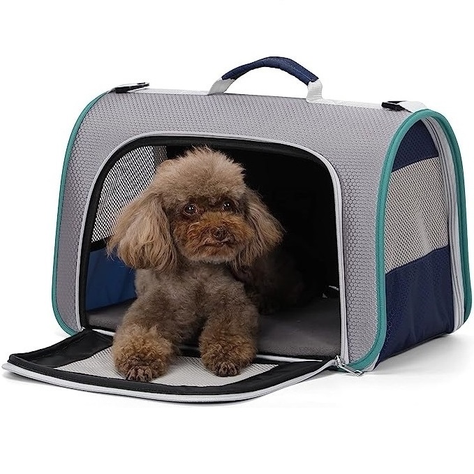 New Custom Fashion Designer Luxury Portable Travel Foldable Cat Dog Carrier Bag Pet Carrier