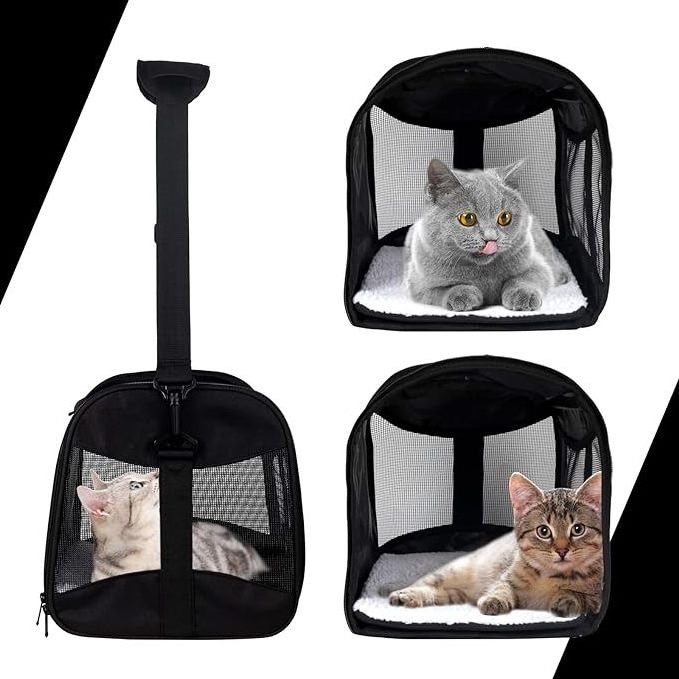 Hot Portable and Breathable Pet Travel Collapsible Cat Carrier Dog Carrier for Medium Cats Small Cats Dogs