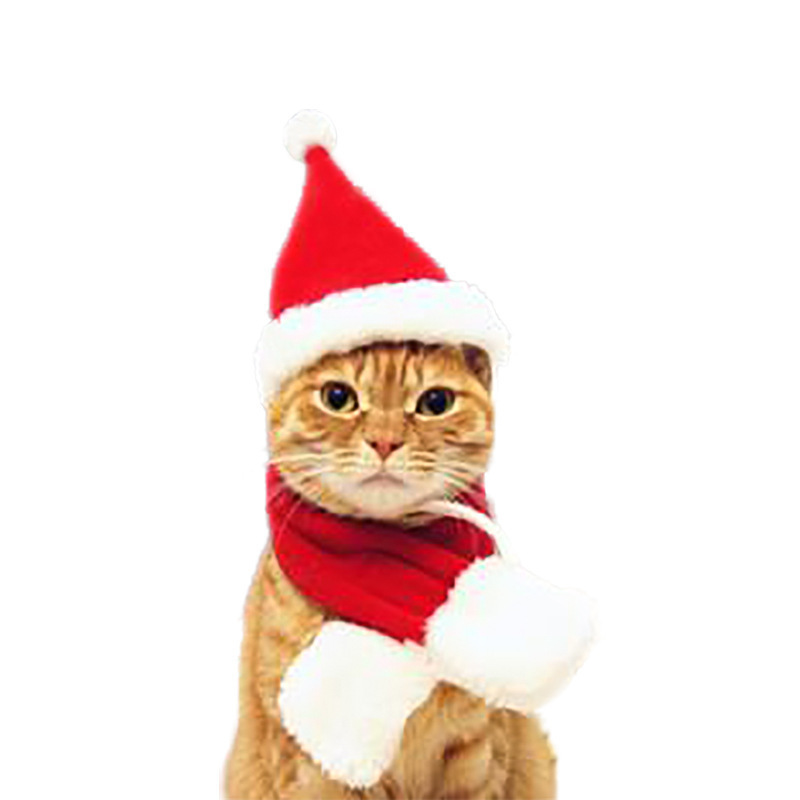 Jiangshun OEM ODM fashion other pet products cat christmas dress up hat cloak headdress scarf for catdog cape Christmas clothes