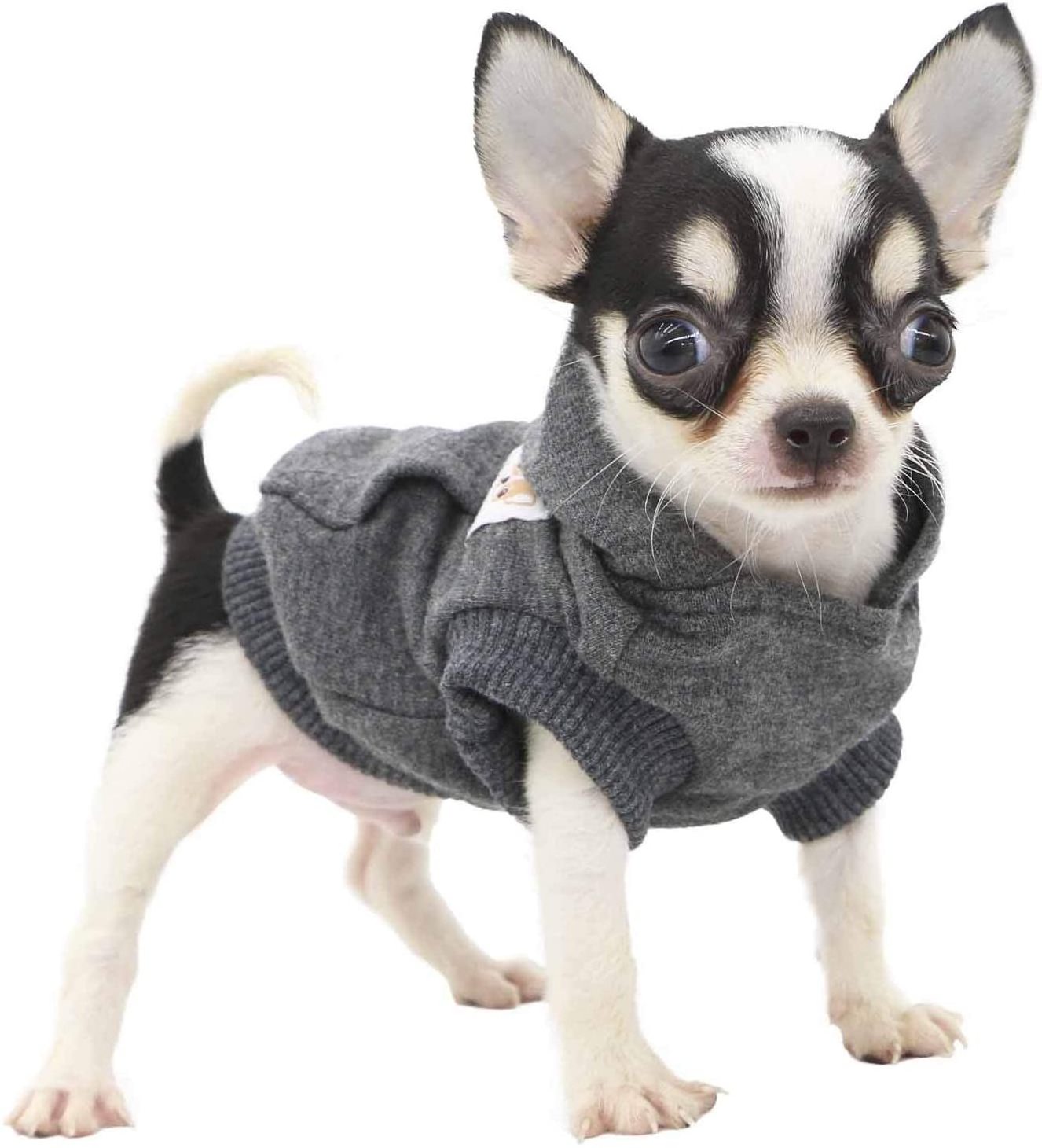 China manufacturer Teacup dog Cotton Hoodies Sweatshirts for Puppy Small Dogs