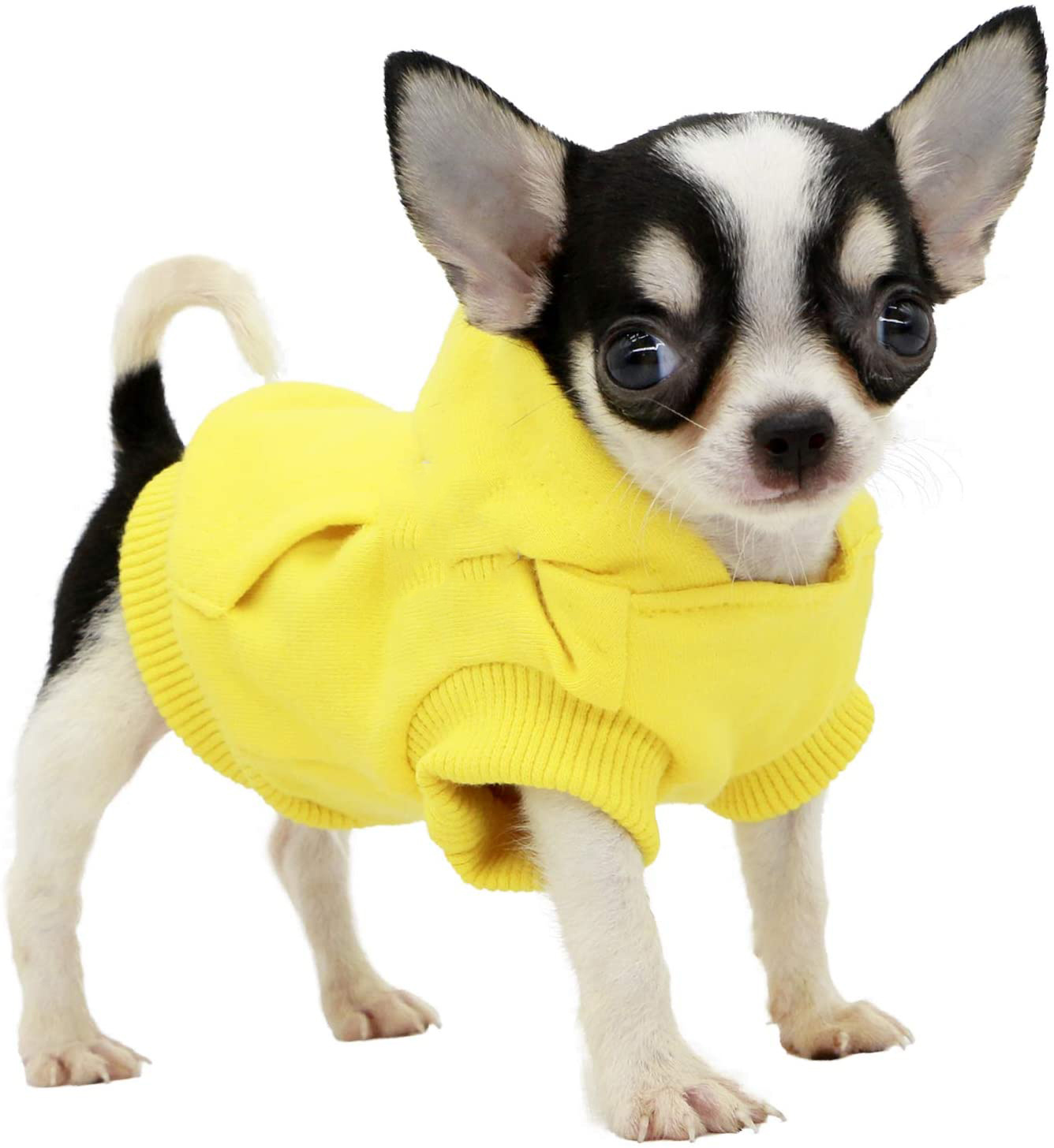 China manufacturer Teacup dog Cotton Hoodies Sweatshirts for Puppy Small Dogs