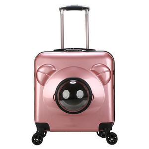 Jiangshun OEM ODM new transparent dog box cat cage outdoor large capacity luxury luggage hard-shell safety pet trolley bag