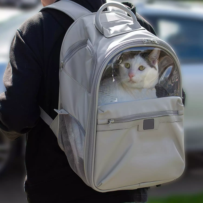 Hot Portable Outdoor Cat Dog Carrier Bag Travel Suitcase for Pet Travel Transparent Case