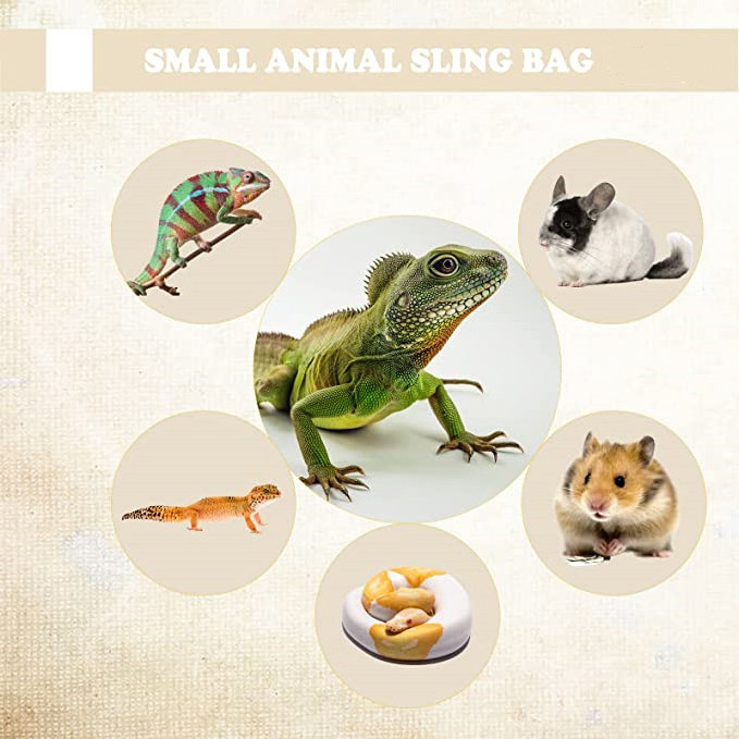 2022 High Quality Customize Color Small Animal Bag for Lizards and Small Reptile with Adjustable Strap Dragon Sling Carrier