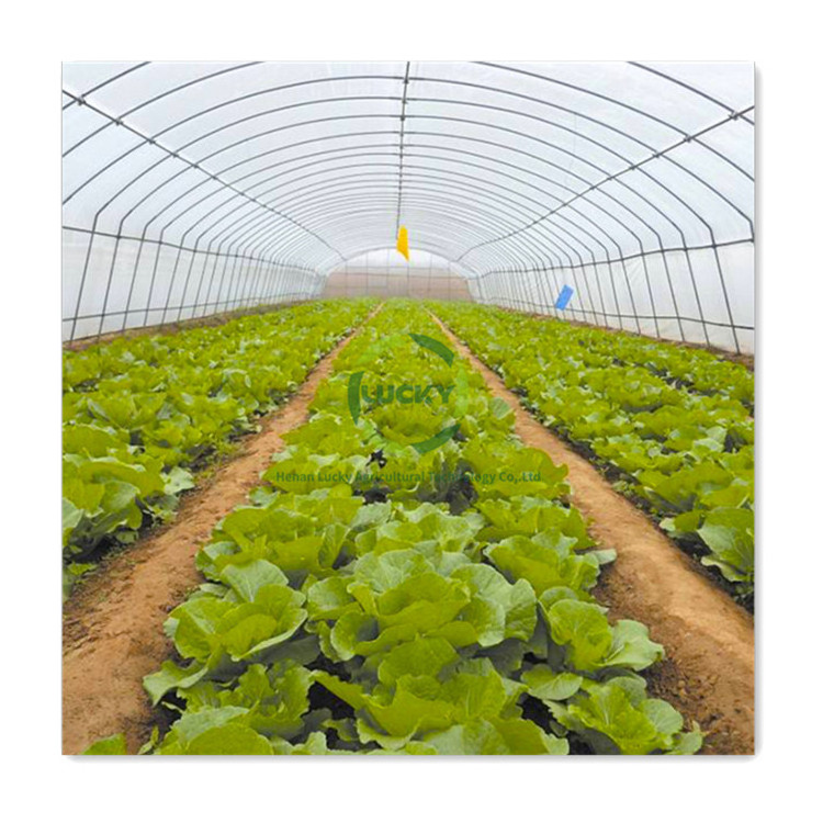 PE Film Farm Single Span High Tunnel Sliding Doors Hot Galvanized Arch Pipe Greenhouse Steel Frame With Insect Net