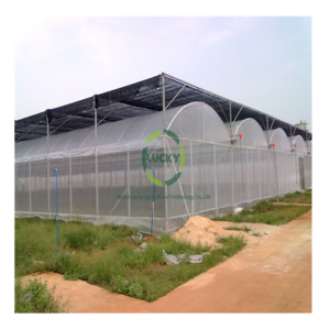 Low Cost Green House Accessories Whole Set Sliding Doors Polycarbonate Panels Agriculture Greenhouses