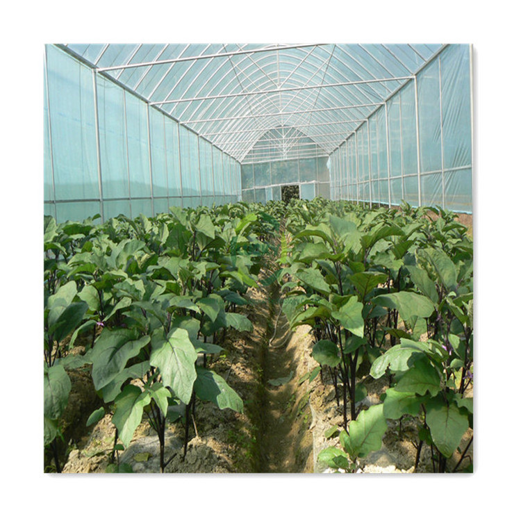 2023 Hot Sale Low Price Glass Used Plastic Film Uv Resistant Agricultural Greenhouses With Drip Irrigation Set