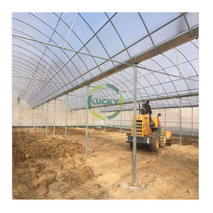 Modern Climate Controlled Used Cold Frame Green House Polycarbonate Garden Plastic Film Winter Greenhouse For Sale