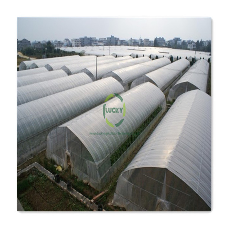 2023 Hot Sale Low Price Glass Used Plastic Film Uv Resistant Agricultural Greenhouses With Drip Irrigation Set