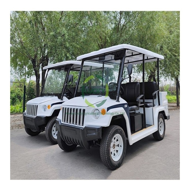 High Quality Wholesale Street Legal Electric Transaxle Gasoline Engine 72V 6 Seater Controllers Enclosures Golf Cart