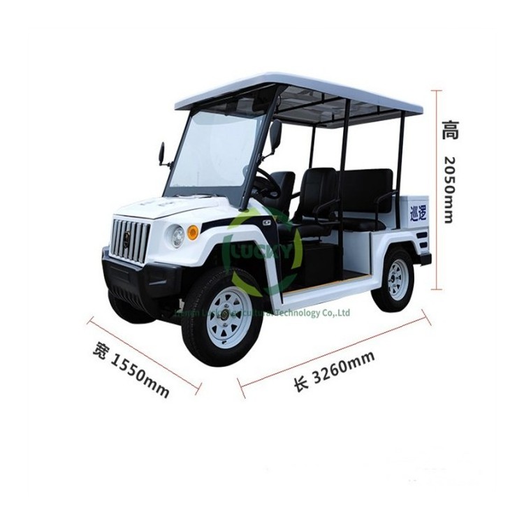 2023 New Customization 4 Wheel Electric 72 Volt 24V Battery Speaker Mount Free Shipping Electric Golf Cart