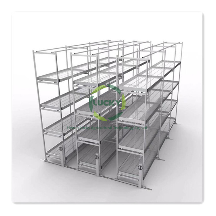 Wholesale Grow Tray Vertical Grow Table Ventilation Rolling Benches For Commercial Greenhouse Grow Table