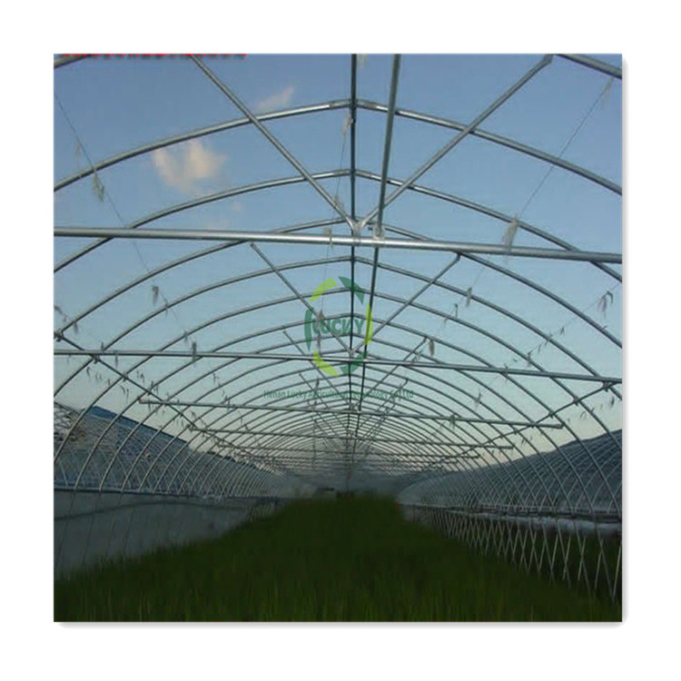 Agricultural 300 Square meter low cost single span tunnel vegetable greenhouse used for sale