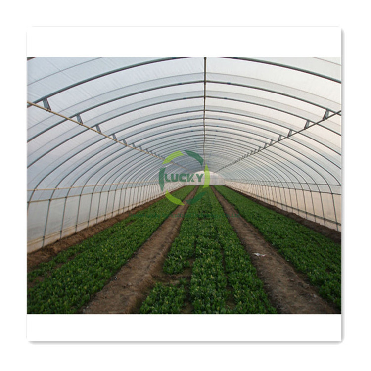 2023 Hot Sale Low Price Glass Used Plastic Film Uv Resistant Agricultural Greenhouses With Drip Irrigation Set