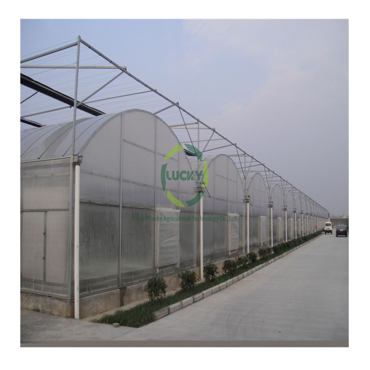 Modern Climate Controlled Used Cold Frame Green House Polycarbonate Garden Plastic Film Winter Greenhouse For Sale