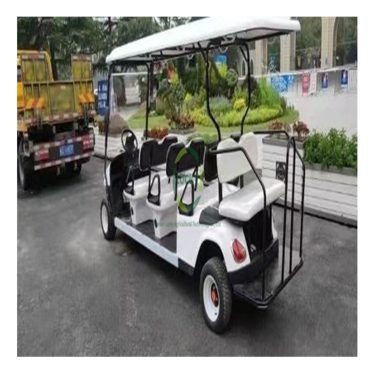 2 Person Washer Cart Ball Cleaner Golf Cart With 48 Volt 170Ah Lifepo4 Lithium Ion Batteries