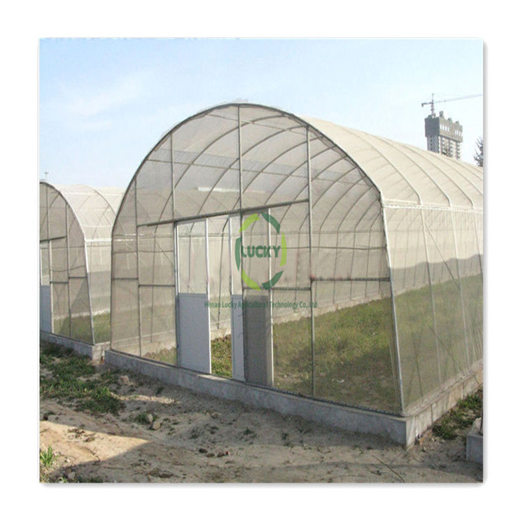 Popular Indoor Environmental Shade Nets Passive Plants Cold Frame Industrial Fully Automation Hydroponic Green House