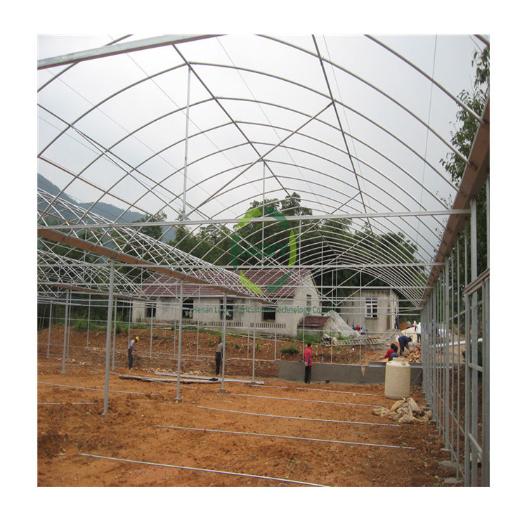 Modern Climate Controlled Used Cold Frame Green House Polycarbonate Garden Plastic Film Winter Greenhouse For Sale