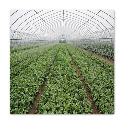 High Quality Irrigation System Plastic Film Agricultural Polytunnel Green House Inflatable Greenhouse Equipment