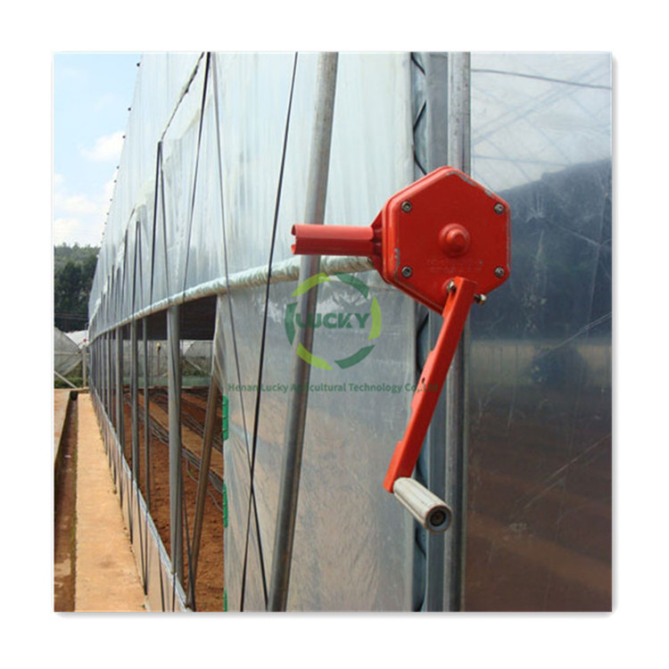 PE Film Farm Single Span High Tunnel Sliding Doors Hot Galvanized Arch Pipe Greenhouse Steel Frame With Insect Net