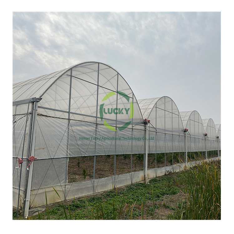 Low Cost Green House Accessories Whole Set Sliding Doors Polycarbonate Panels Agriculture Greenhouses