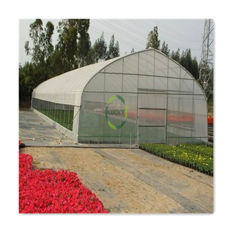 PE Film Farm Single Span High Tunnel Sliding Doors Hot Galvanized Arch Pipe Greenhouse Steel Frame With Insect Net