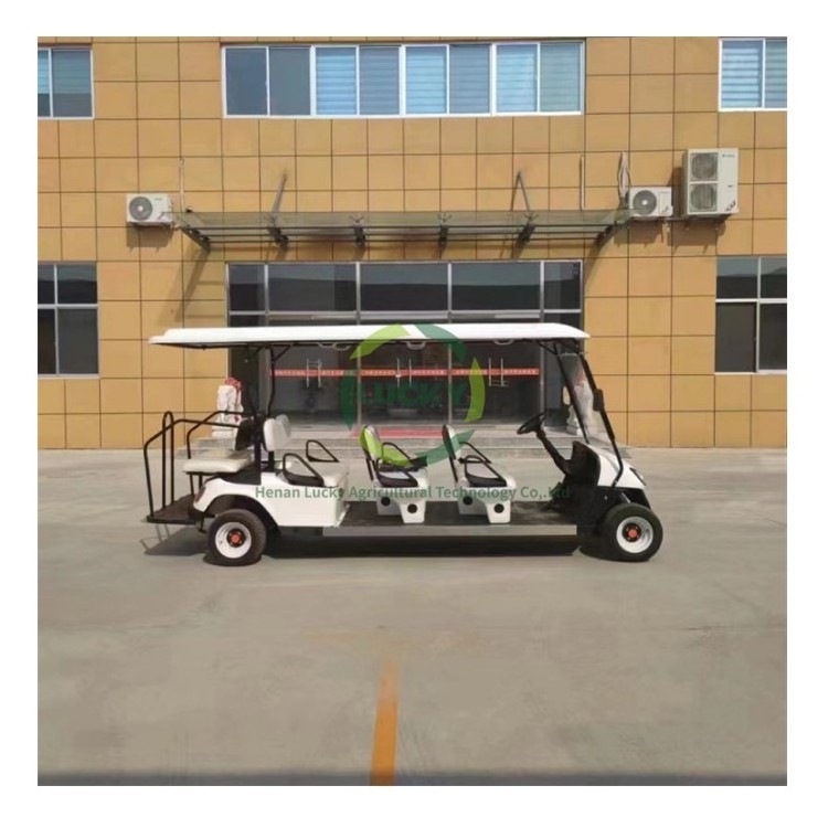 Factory Direct Sale Mini Electric Led Side Mirror Golf Cart With 48 Volt Lithium Battery