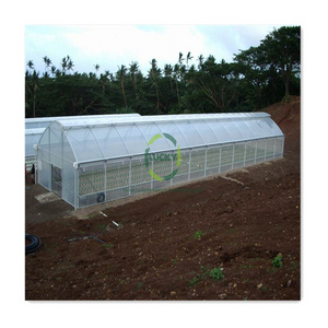 2023 Hot Sale Low Price Glass Used Plastic Film Uv Resistant Agricultural Greenhouses With Drip Irrigation Set