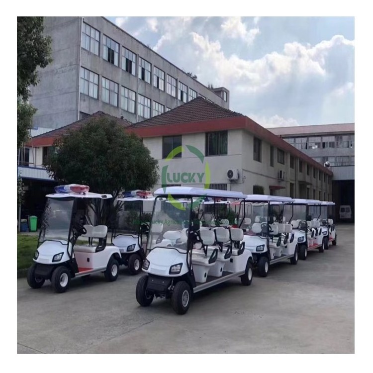 New Product Explosion Lithium Electric Right Hand Golf Cart With Cargo Delivery Carriage Wheels And Tires 14