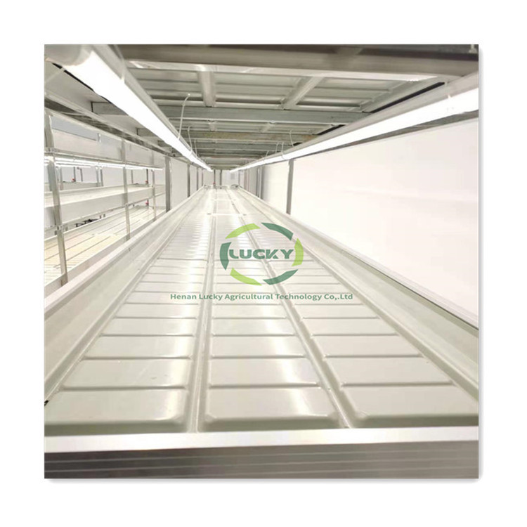 Wholesale Grow Tray Vertical Grow Table Ventilation Rolling Benches For Commercial Greenhouse Grow Table