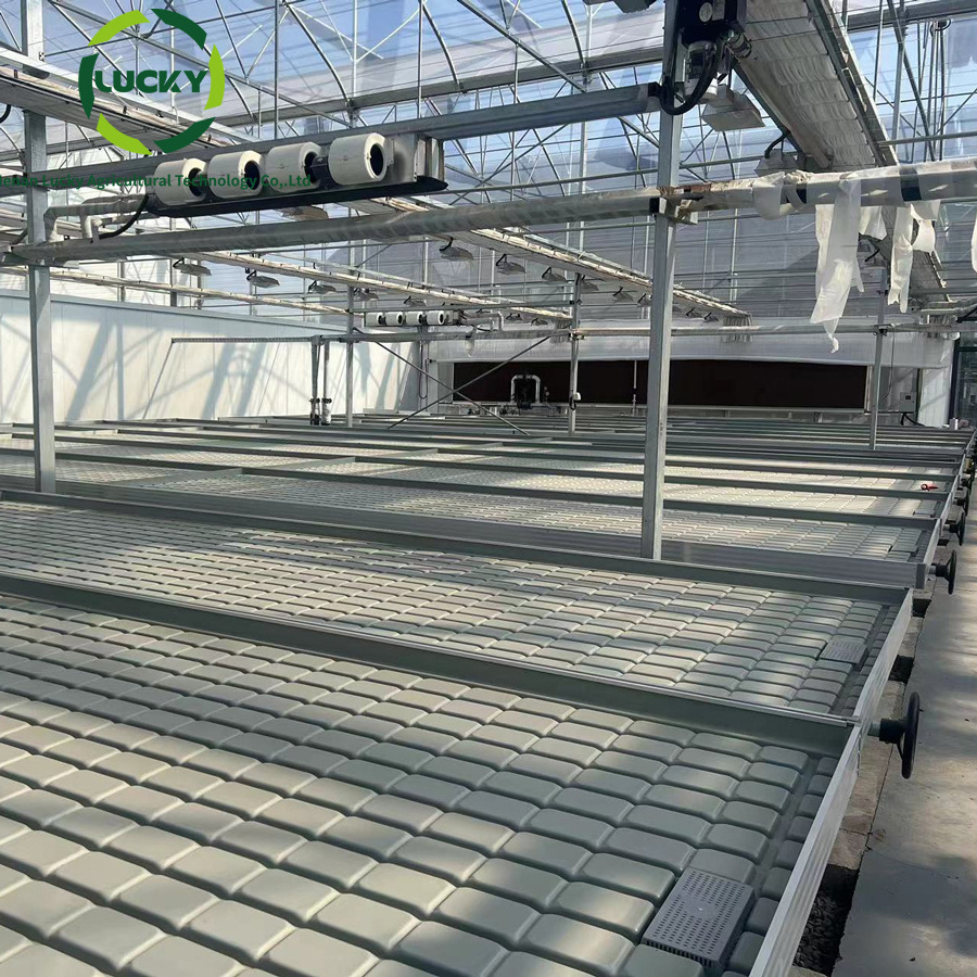 4x8 Greenhouse Rolling bench flood table agriculture growing table ebb and flow table with hydroponic system